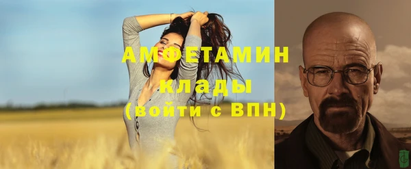 трава Сатка